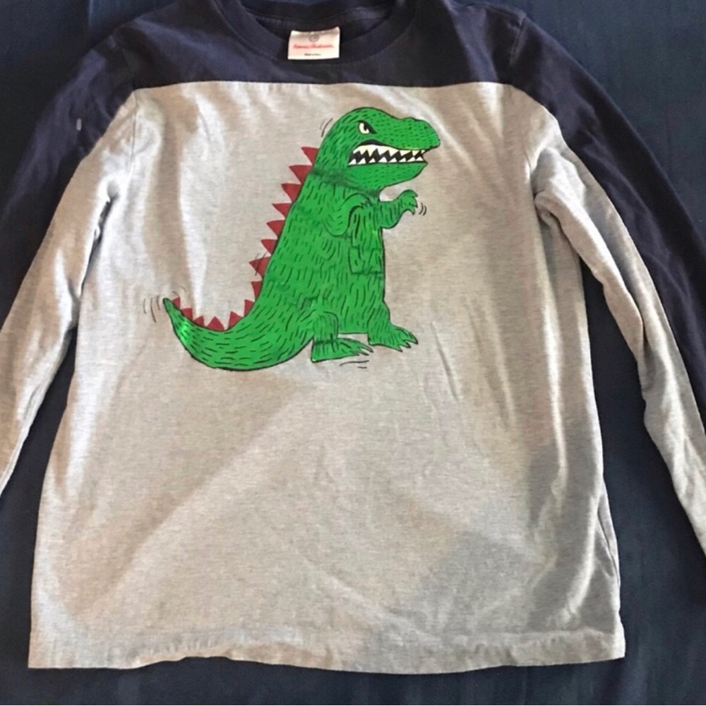 Hannah Andersson Children's Green Dinosaur Long Sleeve Tee - NWOT Size 8